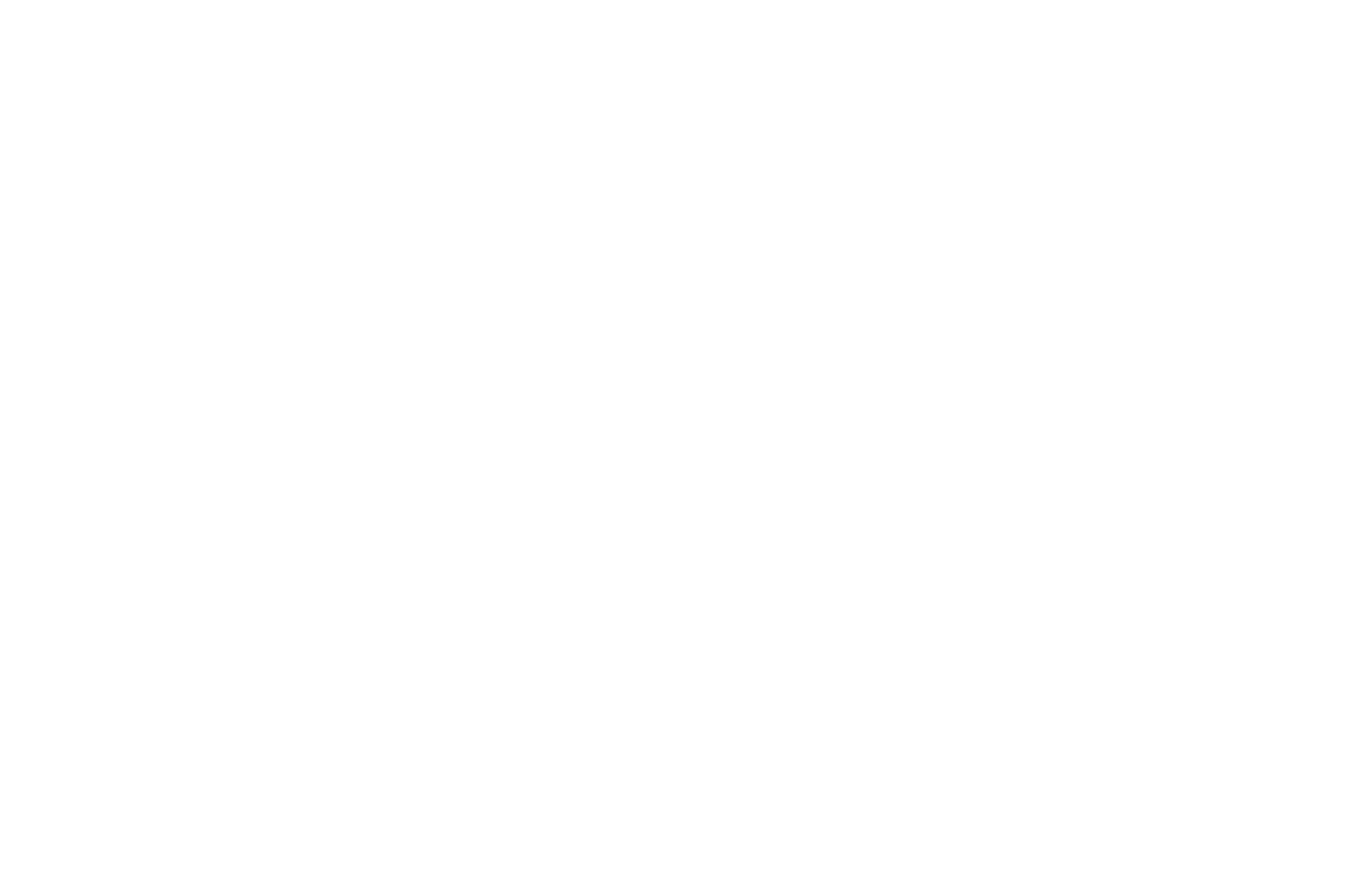 RAVE STUDIO